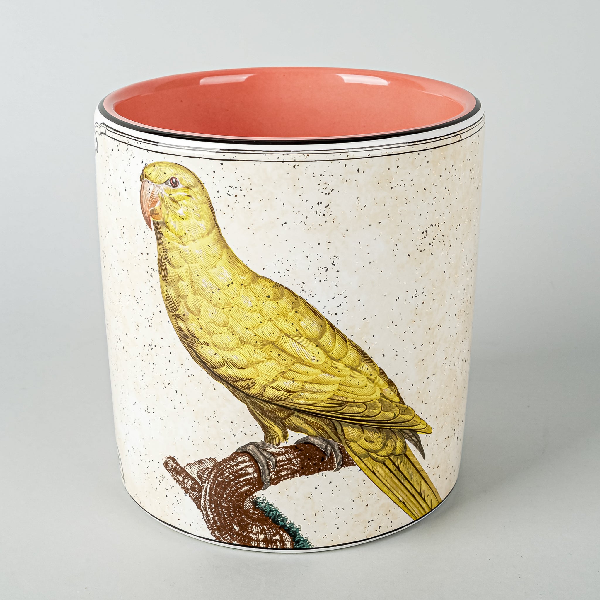 RICHARD GINORI Perroquets Cache Pot/Jardiniere - Around The Block