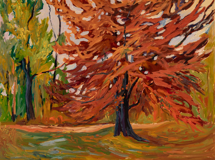 John Cecil Corfe (Canadian 1920-2015) Tree At Albion Falls