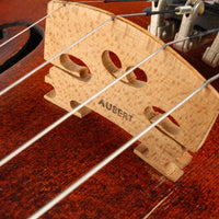 PIETRO VARENI Napoli Anno 1910 4/4 Scale Violin