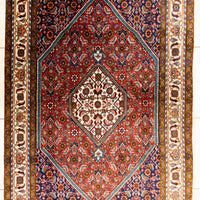 Hand Knotted Wool Tabriz Parvizian Rug          6' x 3'10"