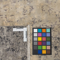 ELTE Wool & Silk Blend Rug 8'9" x 5'5"