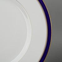 ROYAL WORCESTER Howard Blue 8 Place Settings Plus Extras