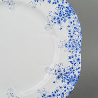 SHELLEY Dainty Blue 51 Pieces