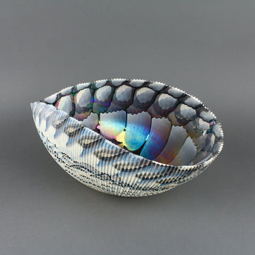 YALOS MURANO Art Glass Shell Bowl