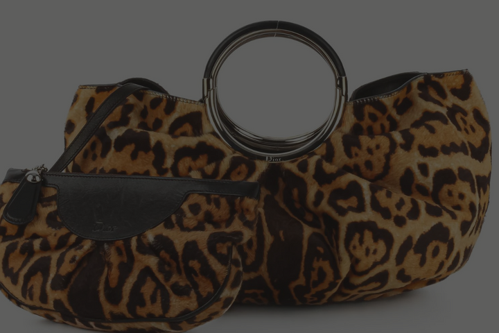 christian dior accessories