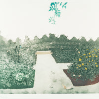 Patrick Procktor (British 1936-1923) "Queen Mary's Rose Garden, Regent's Park" (1971)