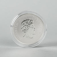 ROYAL CANADIAN MINT 2014 999 Silver $10 Coin Boxed - Year Of The Horse