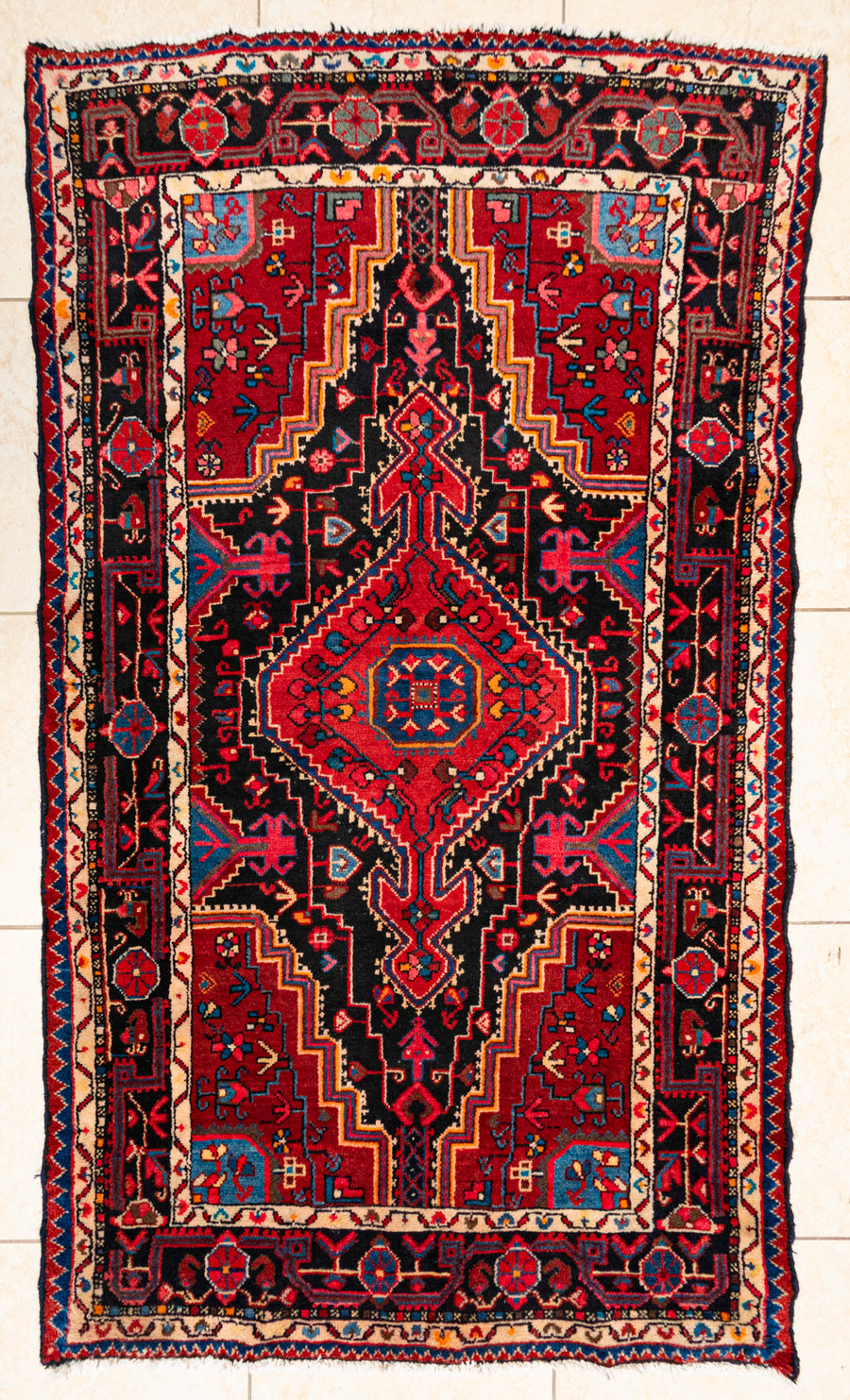 Hand Knotted Wool Hamadan Persian Rug