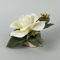 BOEHM Princess Diana Englands Rose F442 China Floral