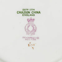 CAULDON 8175 Pink Band, Hand Painted Floral Luncheon Plates Set of 11