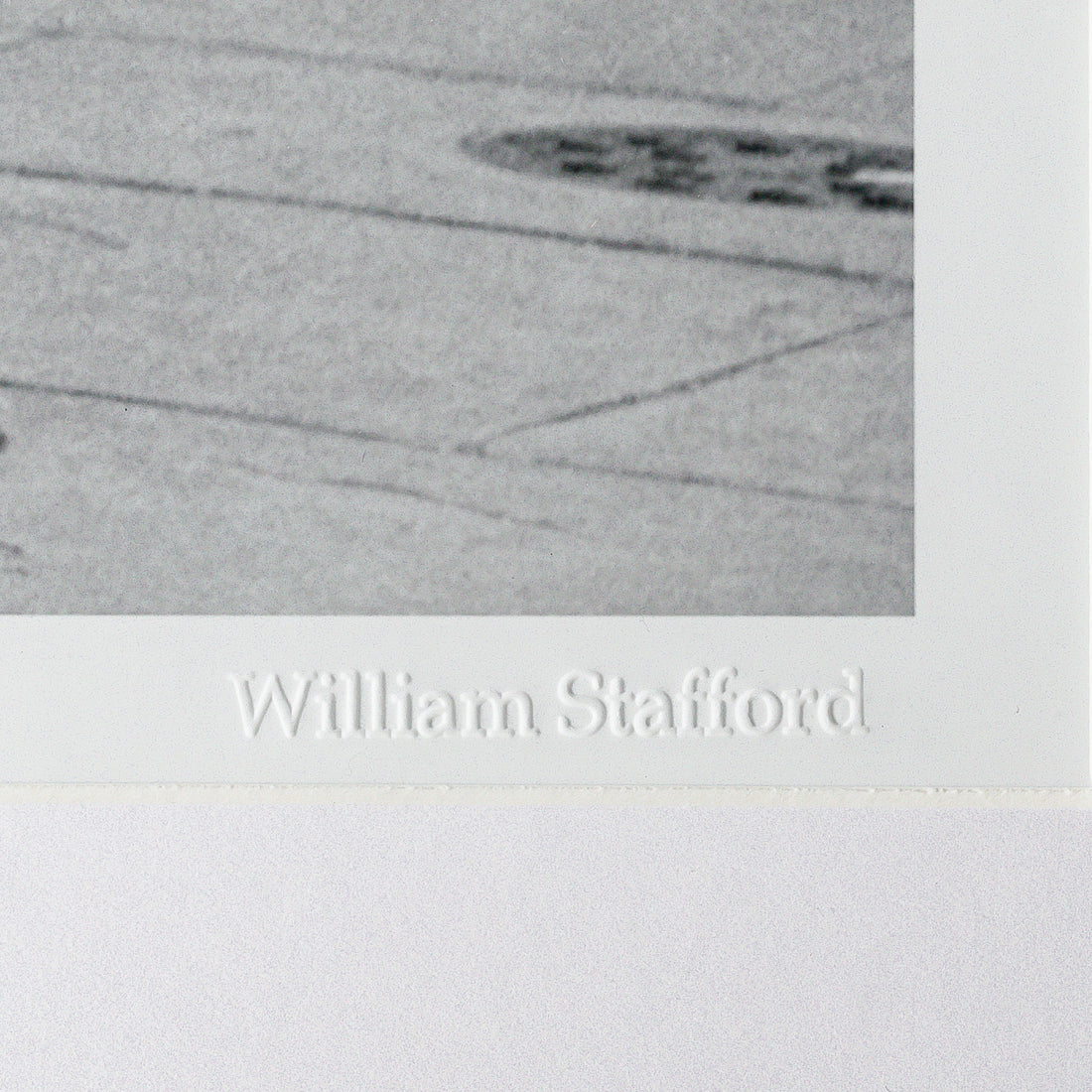 WILLIAM STAFFORD Collection Framed Print "Cheetah Who Shops"