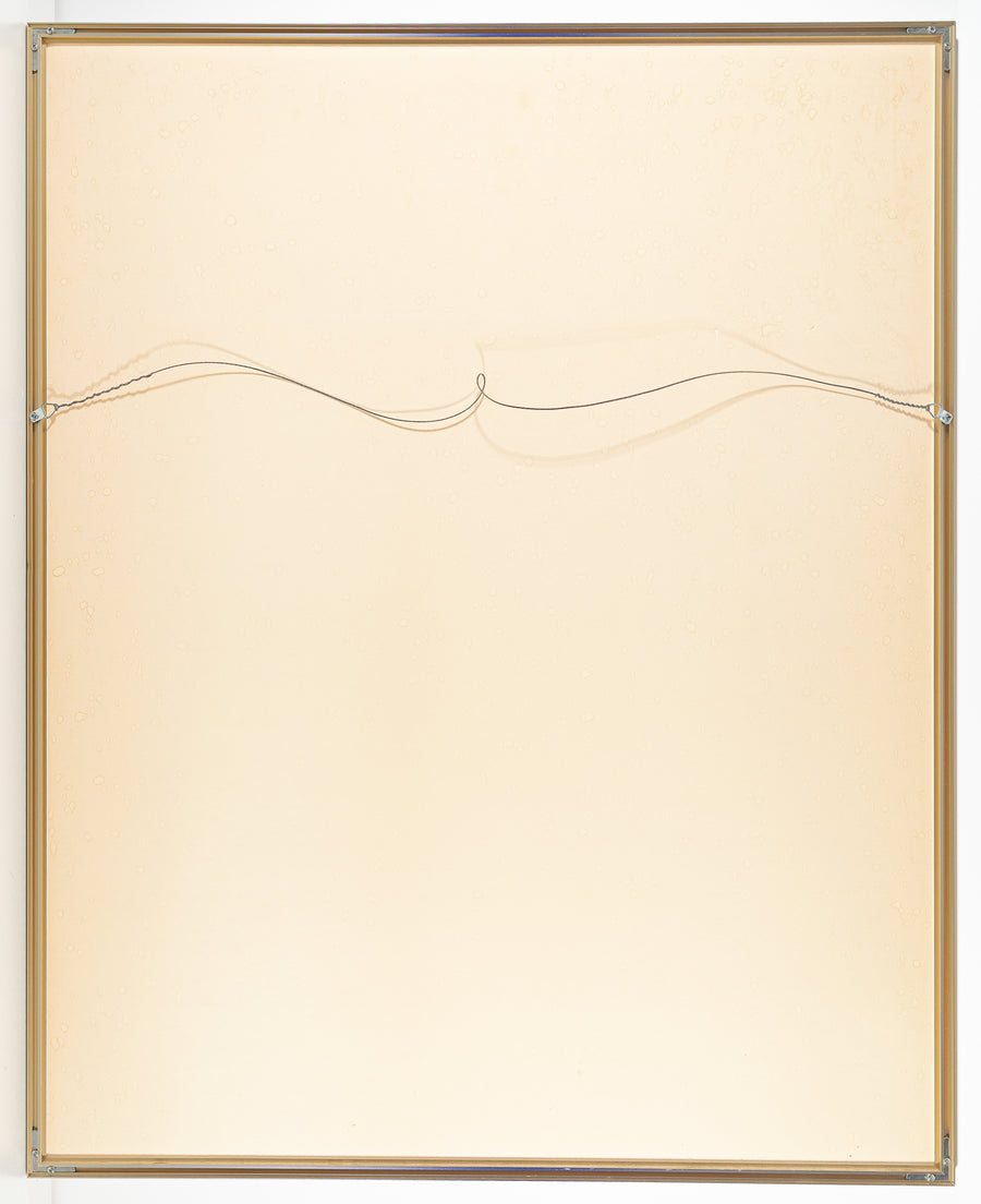 Lyn Westfall (Canadian 20th C.) Untitled Still Life With Flowers