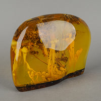 Copal/Amber Specimen With Organic Inclusions