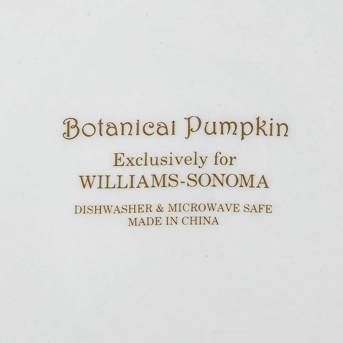 WILLIAMS SONOMA Botanical Pumpkin Bowl