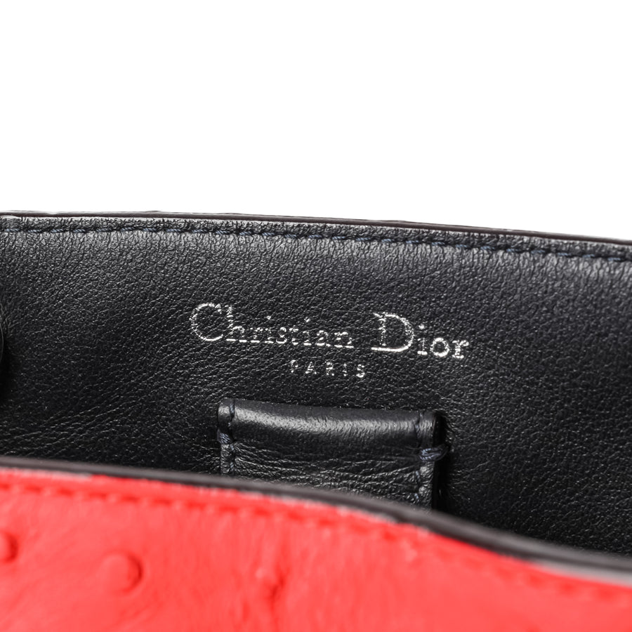 CHRISTIAN DIOR Large Diorissimo Bag - Vermillion Ostrich