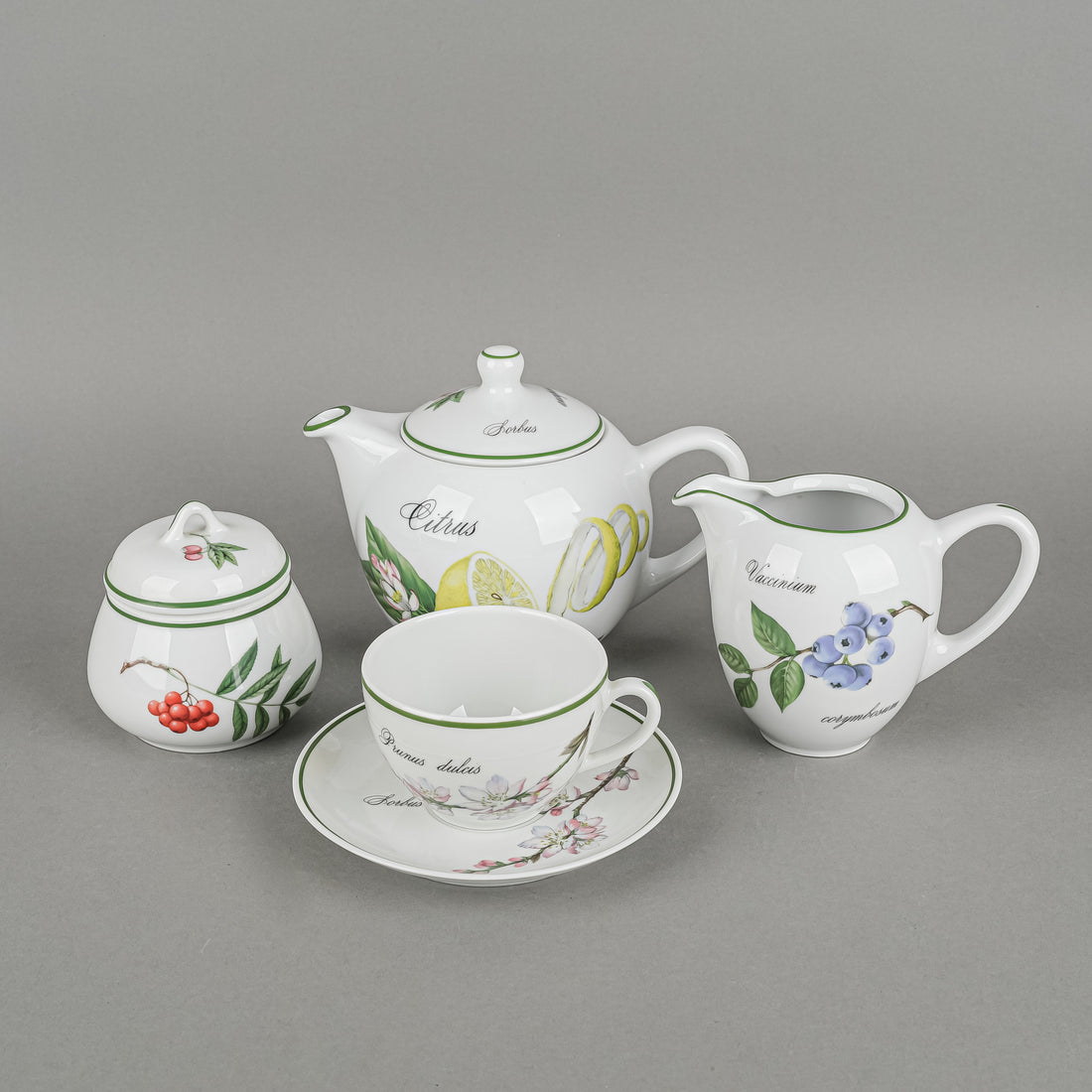 APILCO Elysian Gardens Tea Set 13 Pieces