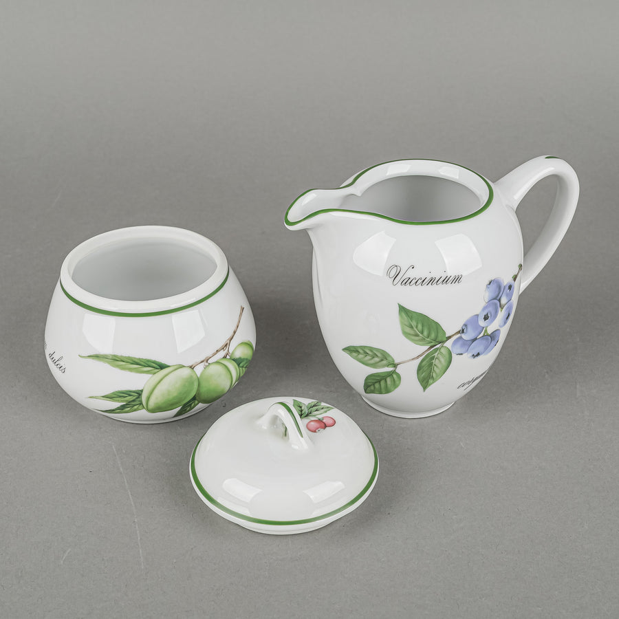 APILCO Elysian Gardens Tea Set 13 Pieces