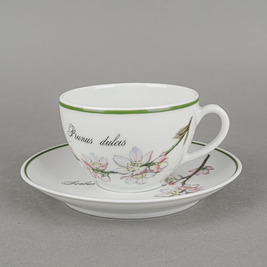 APILCO Elysian Gardens Tea Set 13 Pieces