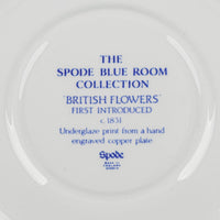 SPODE Blue Room British Flowers Jumbo Cup & Saucer