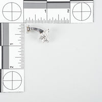 Silver Plt Lion Head Cufflinks