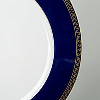 ROSENTHAL VERSACE Jungle Charger
