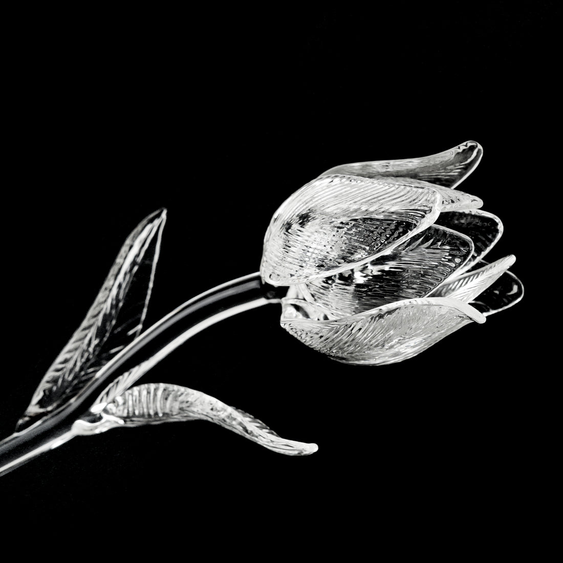 WATERFORD Fleurology Tulip Flower 154652