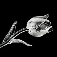 WATERFORD Fleurology Tulip Flower 154652