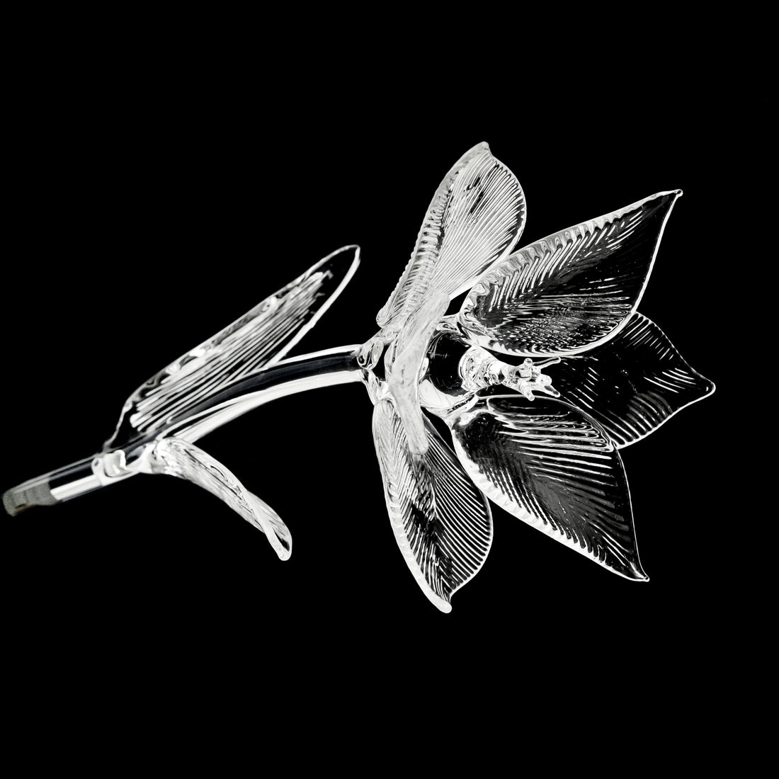 WATERFORD Fleurology Lily Flower 154655