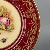 AYNSLEY D.Jones Orchard Fruit Red Band Dinner Plate