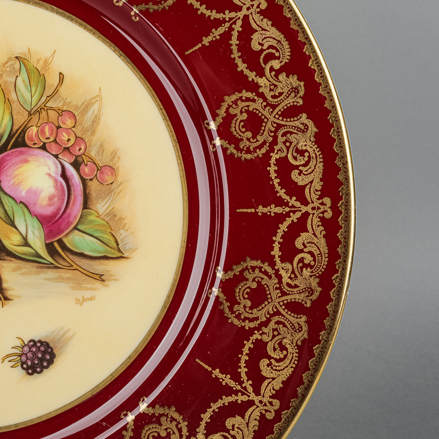 AYNSLEY D.Jones Orchard Fruit Red Band Dinner Plate