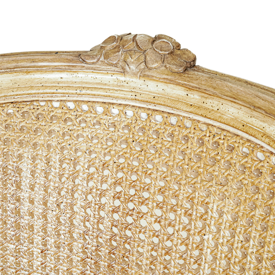 Louis Style Cane Back Armchair Floral Upholstery