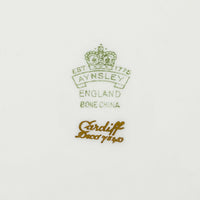 AYNSLEY Cardiff Dinner Plates Set of 10