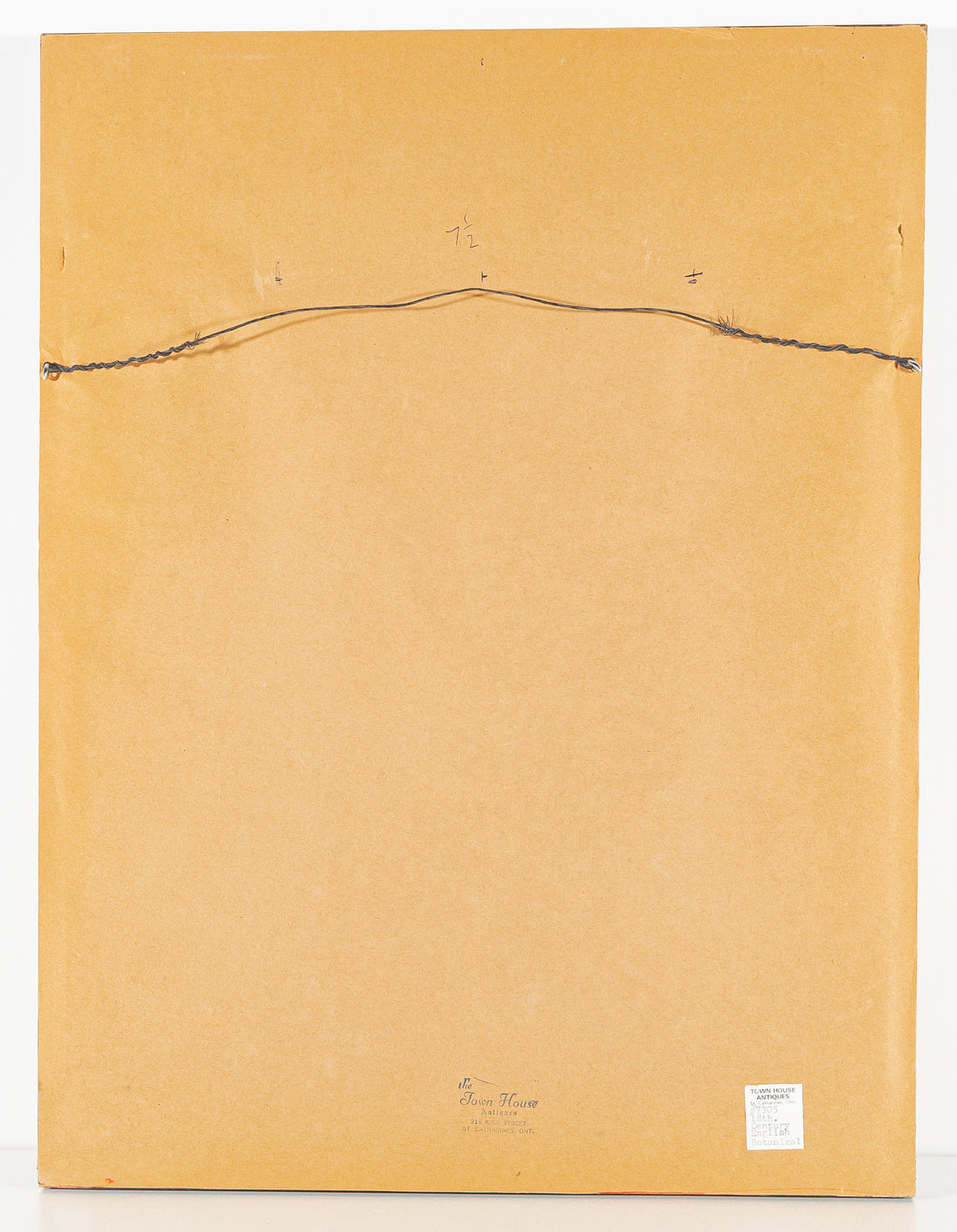 Philip Miller (British 1691-1771) Botanical Plate-Medicago