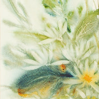Marjorie Pigott (Canadian 1904-1990) Untitled Wildflowers