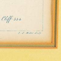 Philip Miller (British 1691-1771) Botanical Plate-Cytisus