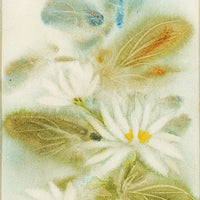Marjorie Pigott (Canadian 1904-1990) Untitled Wildflowers