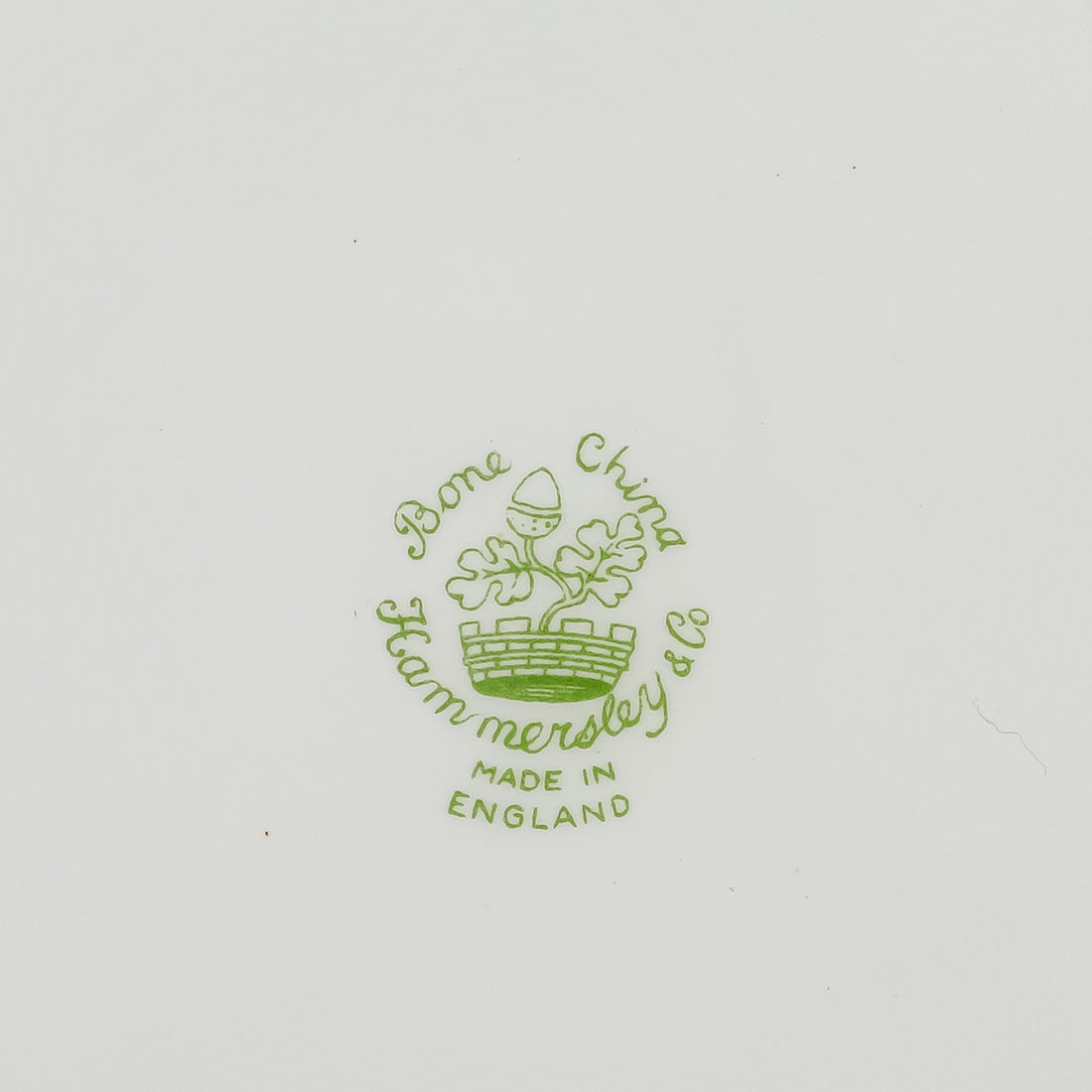 HAMMERSLEY Howard Spray Salad/Dessert Plates Set of 9