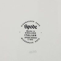 SPODE Blue Italian Platter