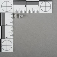 SWAROVSKI Silver Tone Angelic Studs