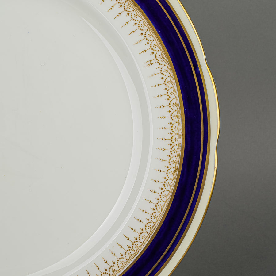 PARAGON Athene Cobalt Blue Z14 49 Pieces