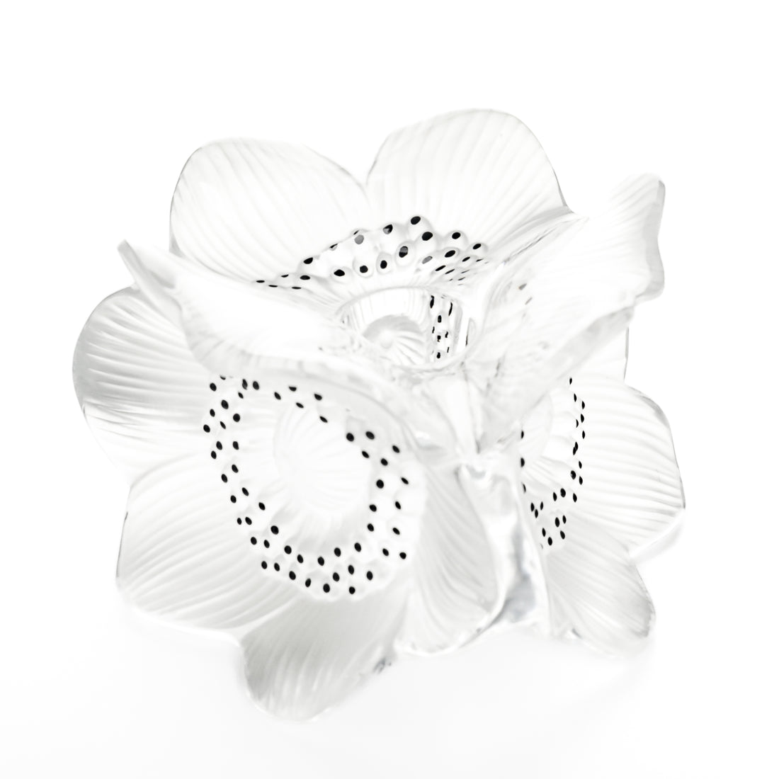 LALIQUE Anemone Triple Flower Candleholder