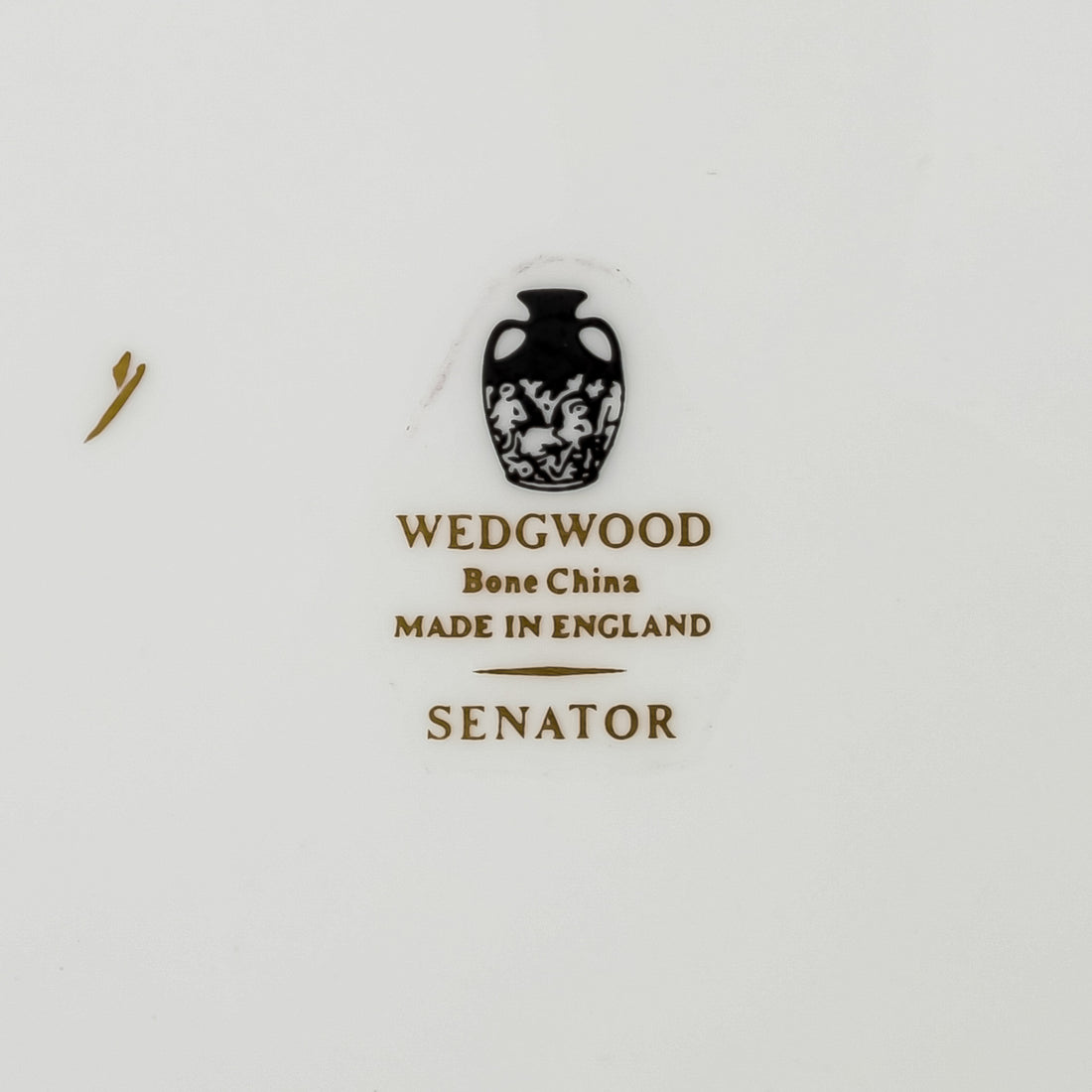 WEDGWOOD Senator 7 Place Settings Plus Extras