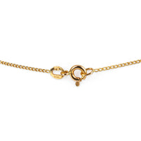 14K Yellow Gold Oval Garnet Pendant Necklace