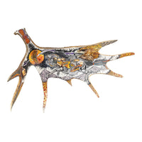 John Doherty (Canadian 20th C) Painted Moose Antler