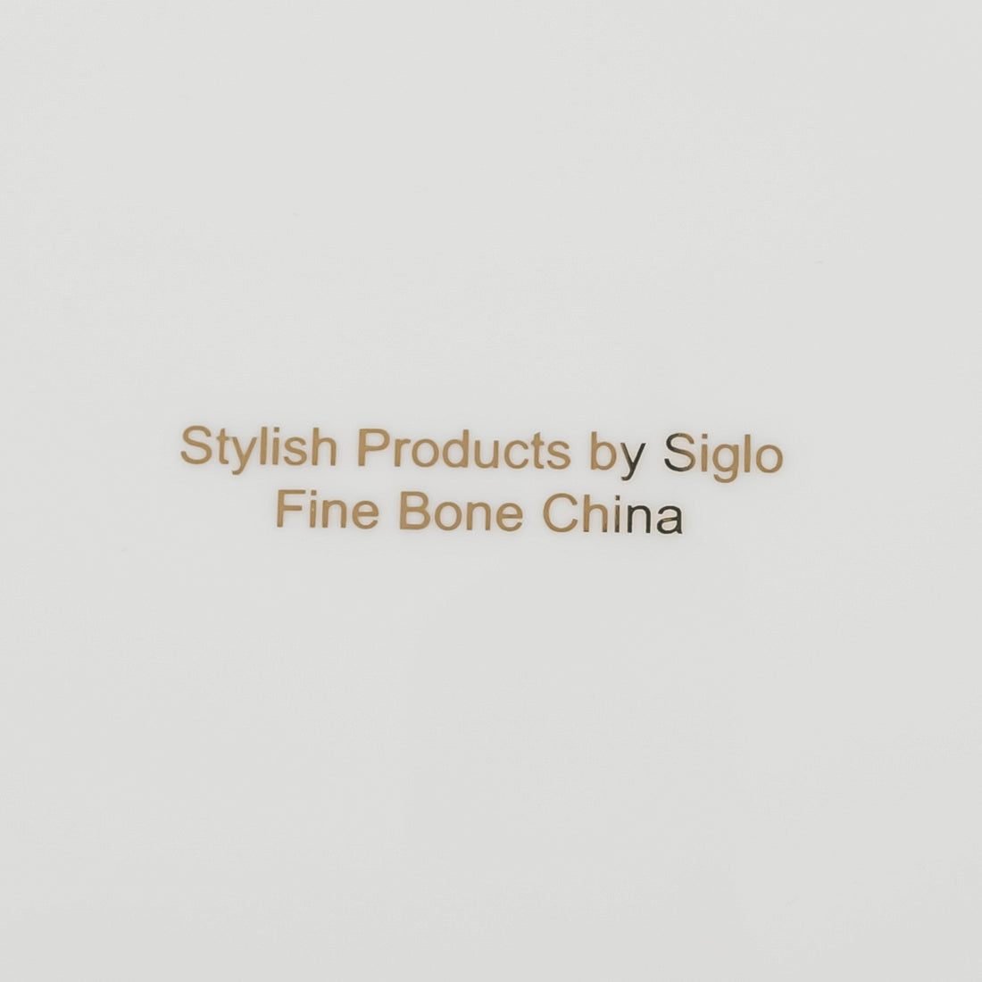 SIGLO Cohiba Cigar Ashtray