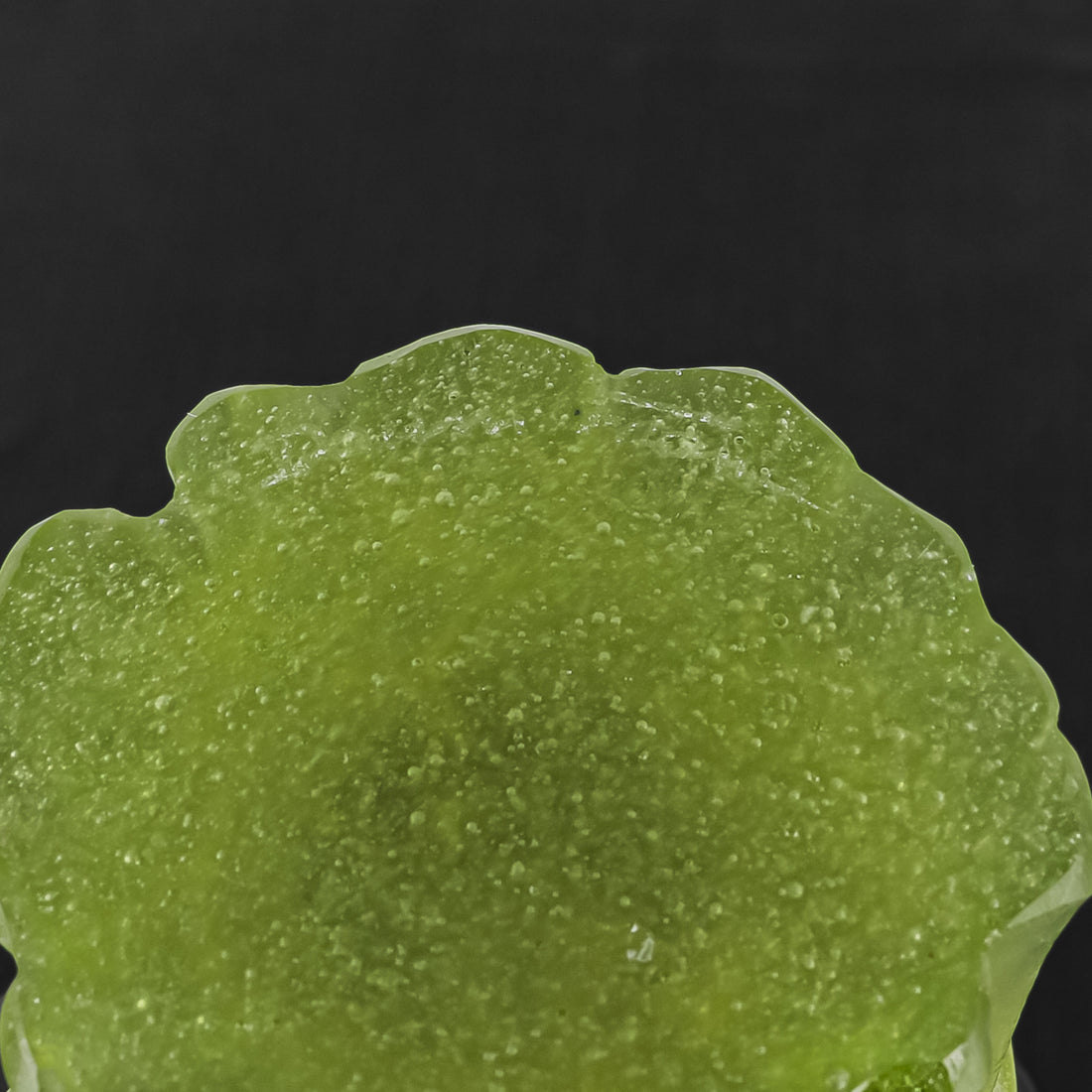 DAUM PateDeVerre Vase - Long Grass