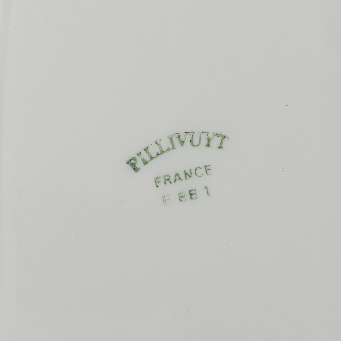 PILLIVUYT Salmon Platter