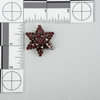 Brass Alloy Bohemian Garnet Star Brooch