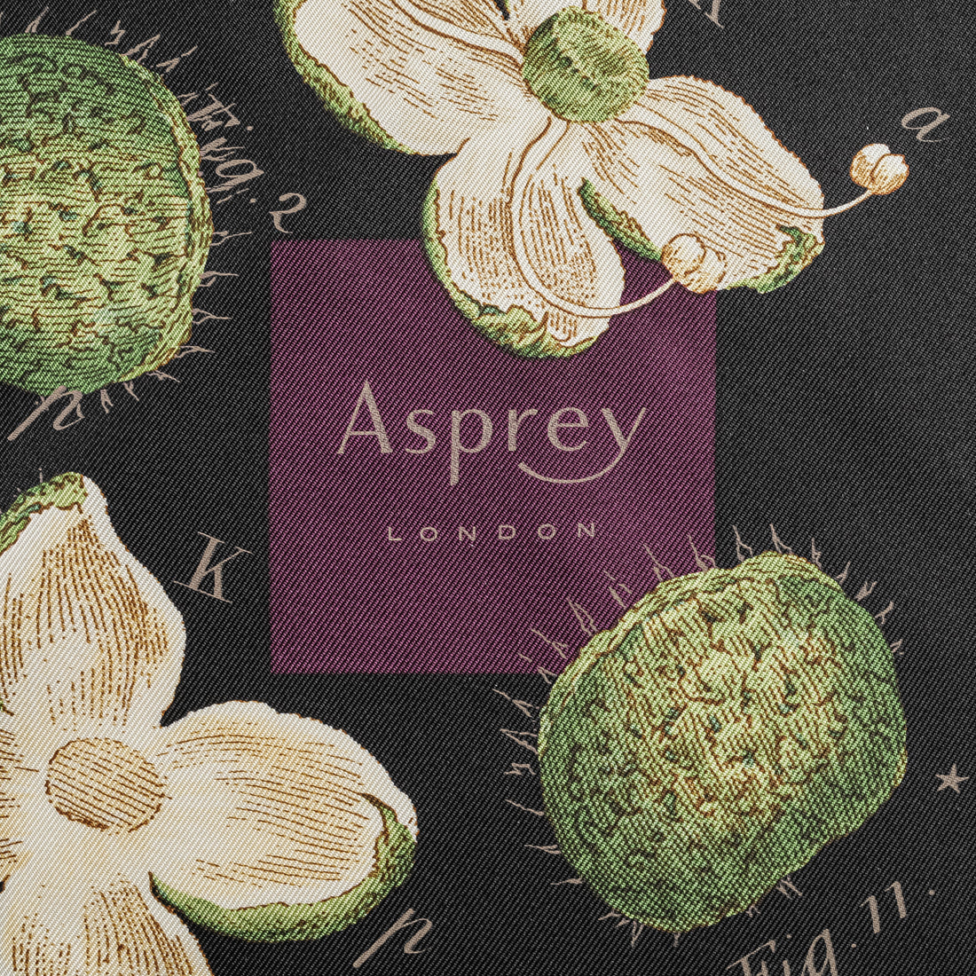 ASPREY LONDON  Silk Botanical Scarf