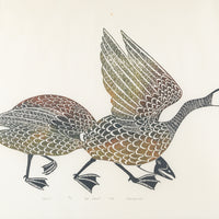 Kananginak Pootoogook, (Cape Dorset 1935-2010) "Neeleit" (Two Geese)